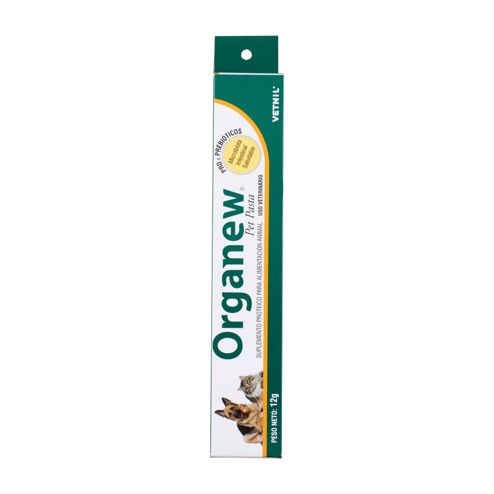 ORGANEW PASTA X 12 GR