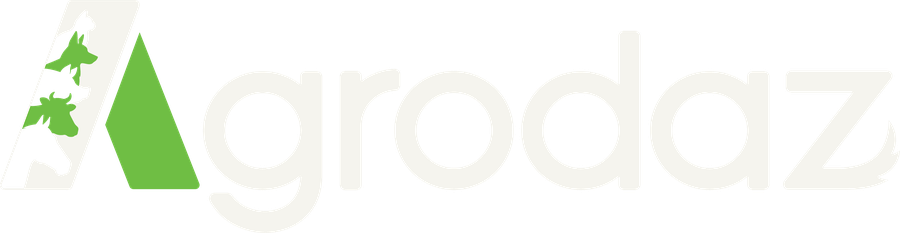 Mi tienda